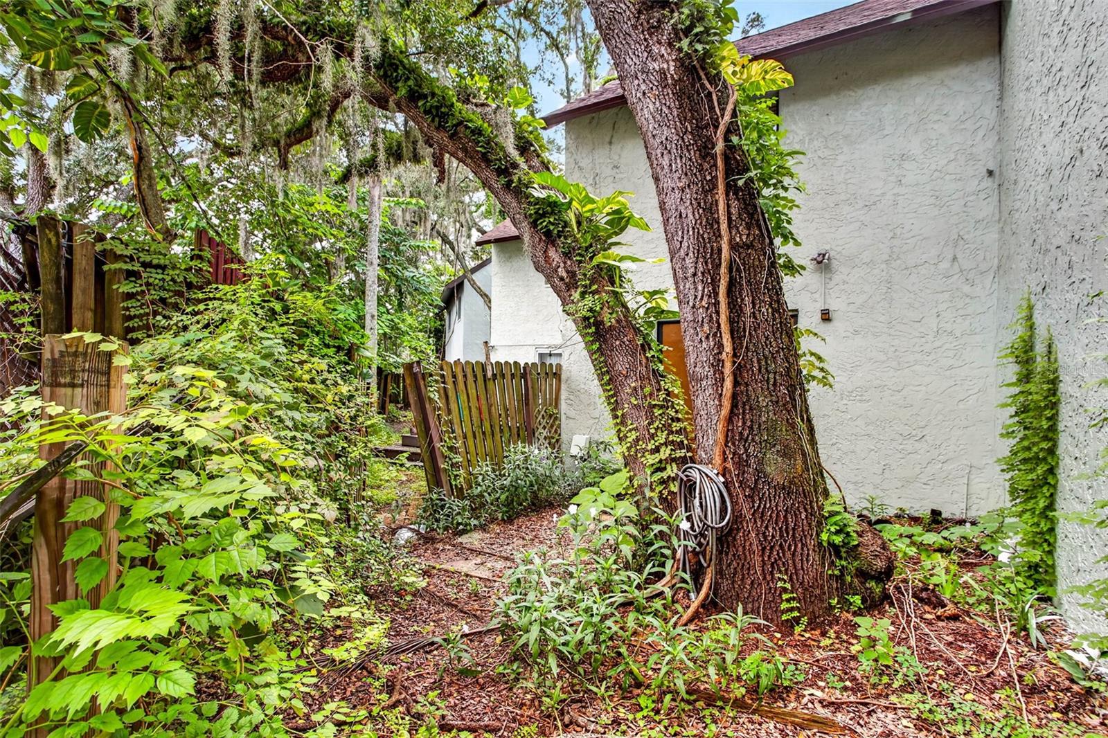5627 ASHLEY OAKS DR #2 — photo 31