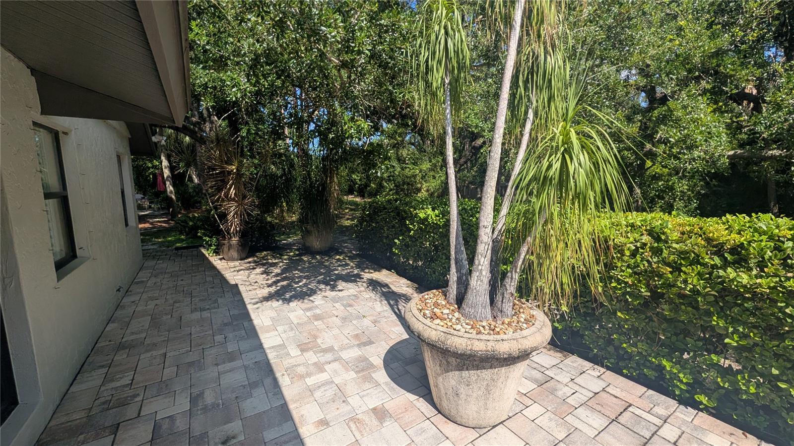 4615 OAK FOREST DR E #22 — photo 6