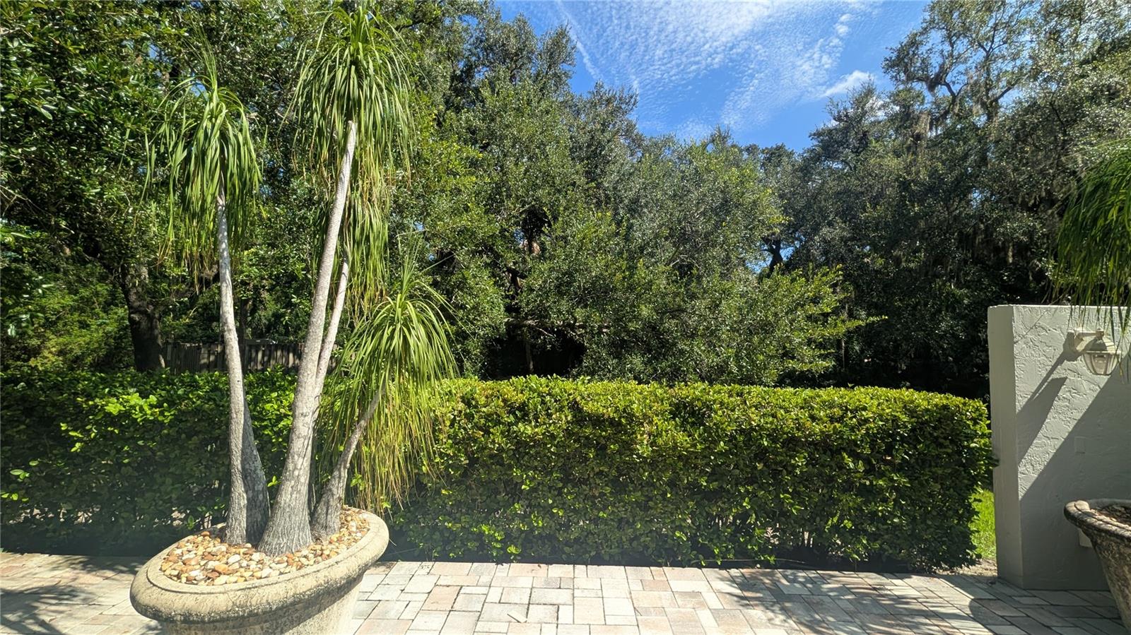 4615 OAK FOREST DR E #22 — photo 5