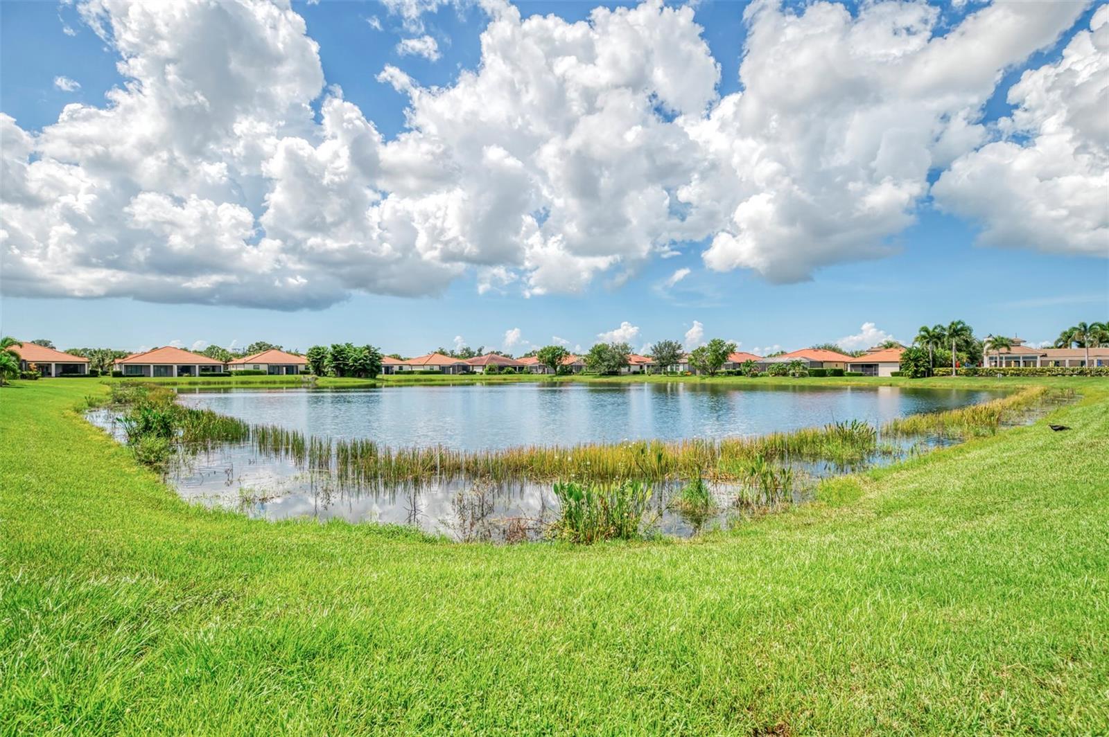 9845 HILLTOP DR — photo 4