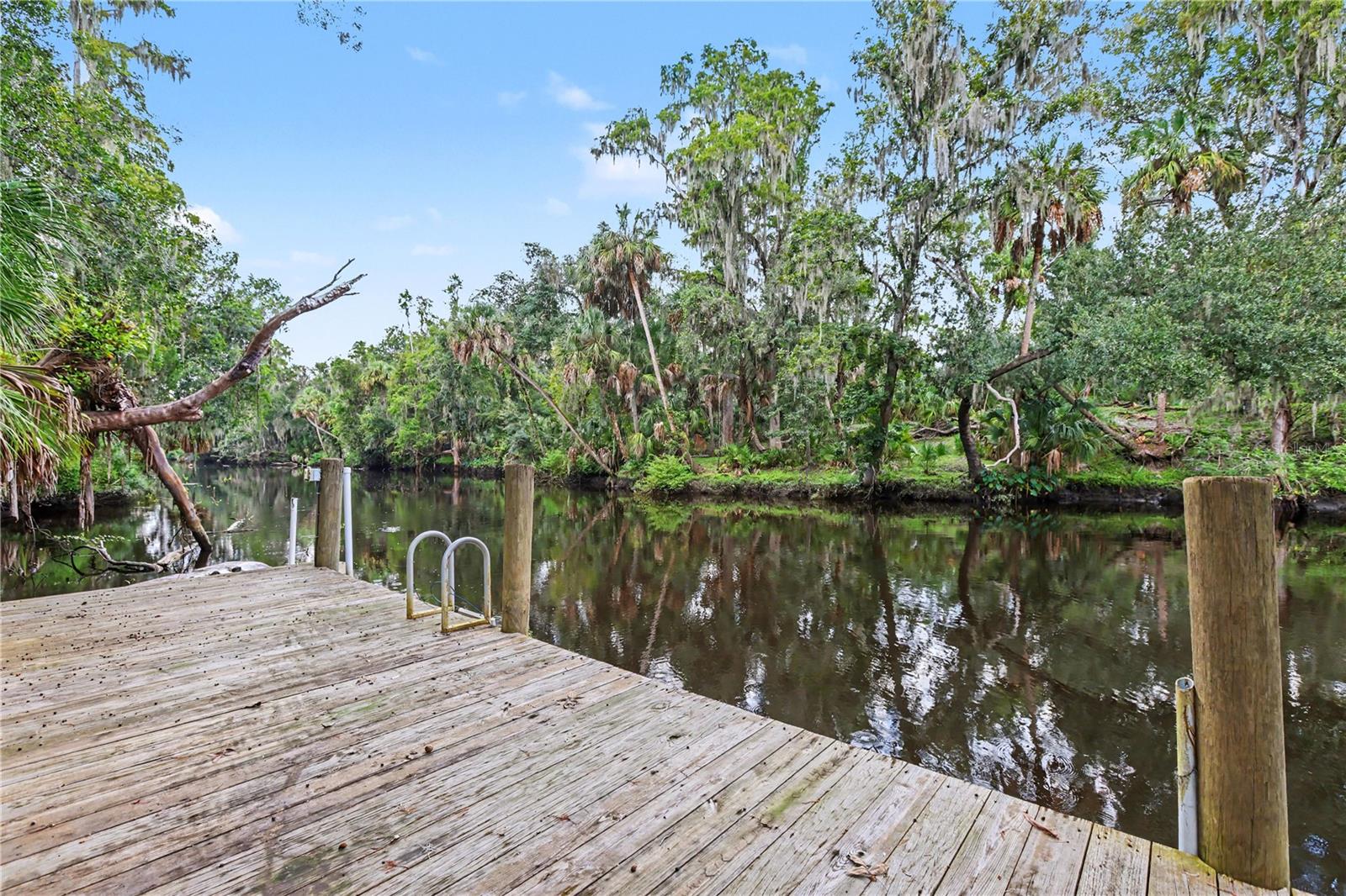 8224 REVELS RD — photo 28