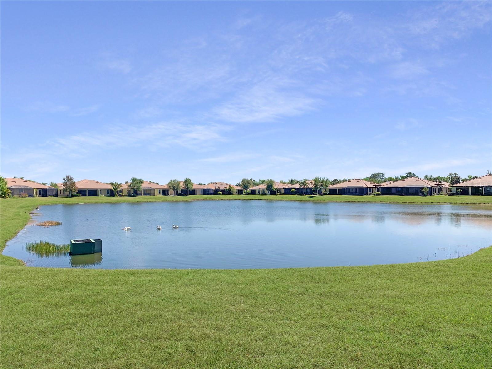 5472 SUNSET FALLS DR — photo 15