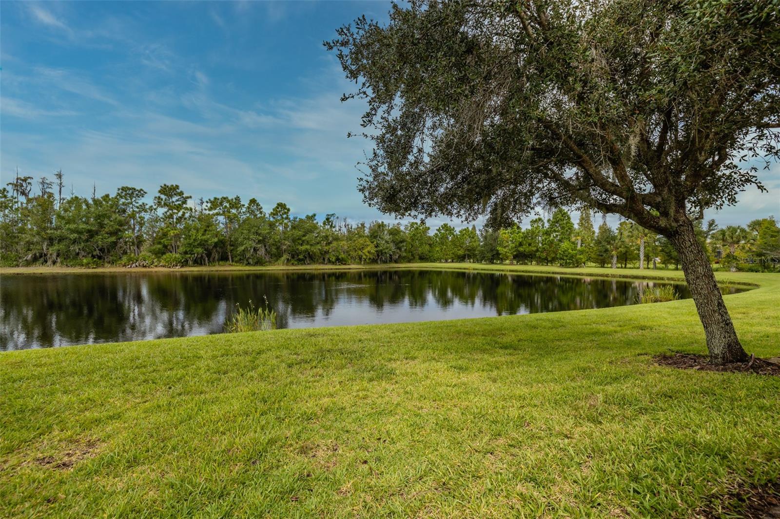 15717 AURORA LAKE CIR — photo 41