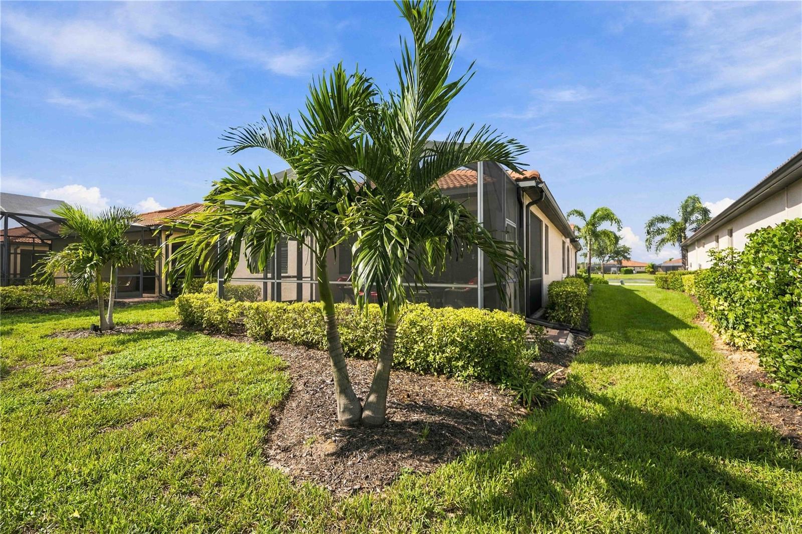 10157 FIDDLEWOOD DR — photo 48