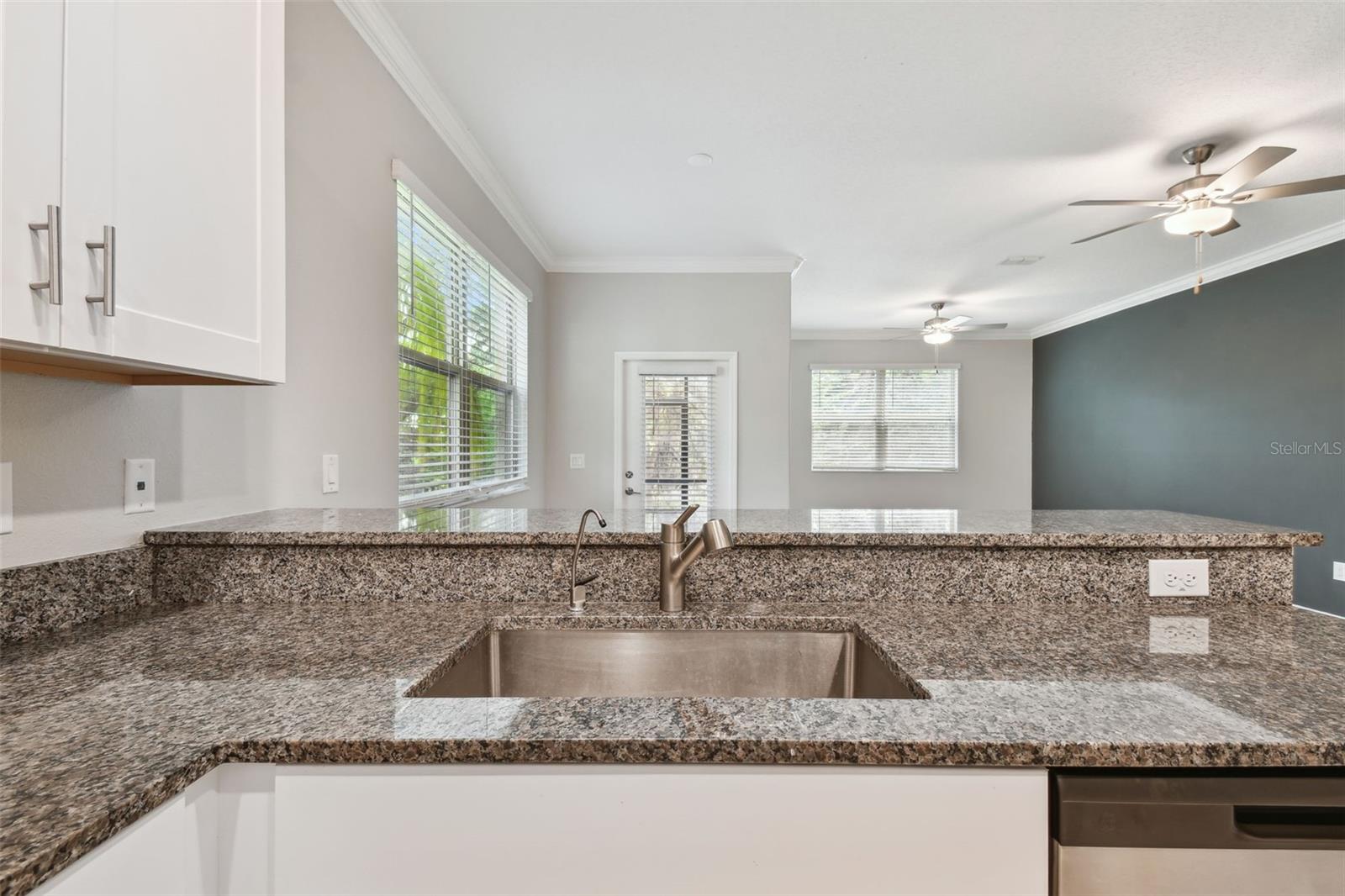 30814 VERIDIAN WAY — photo 27