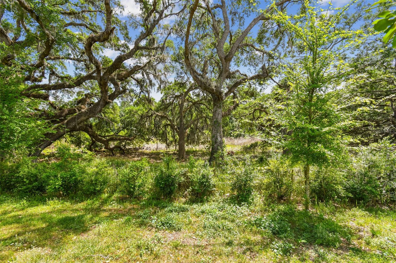 30814 VERIDIAN WAY — photo 79