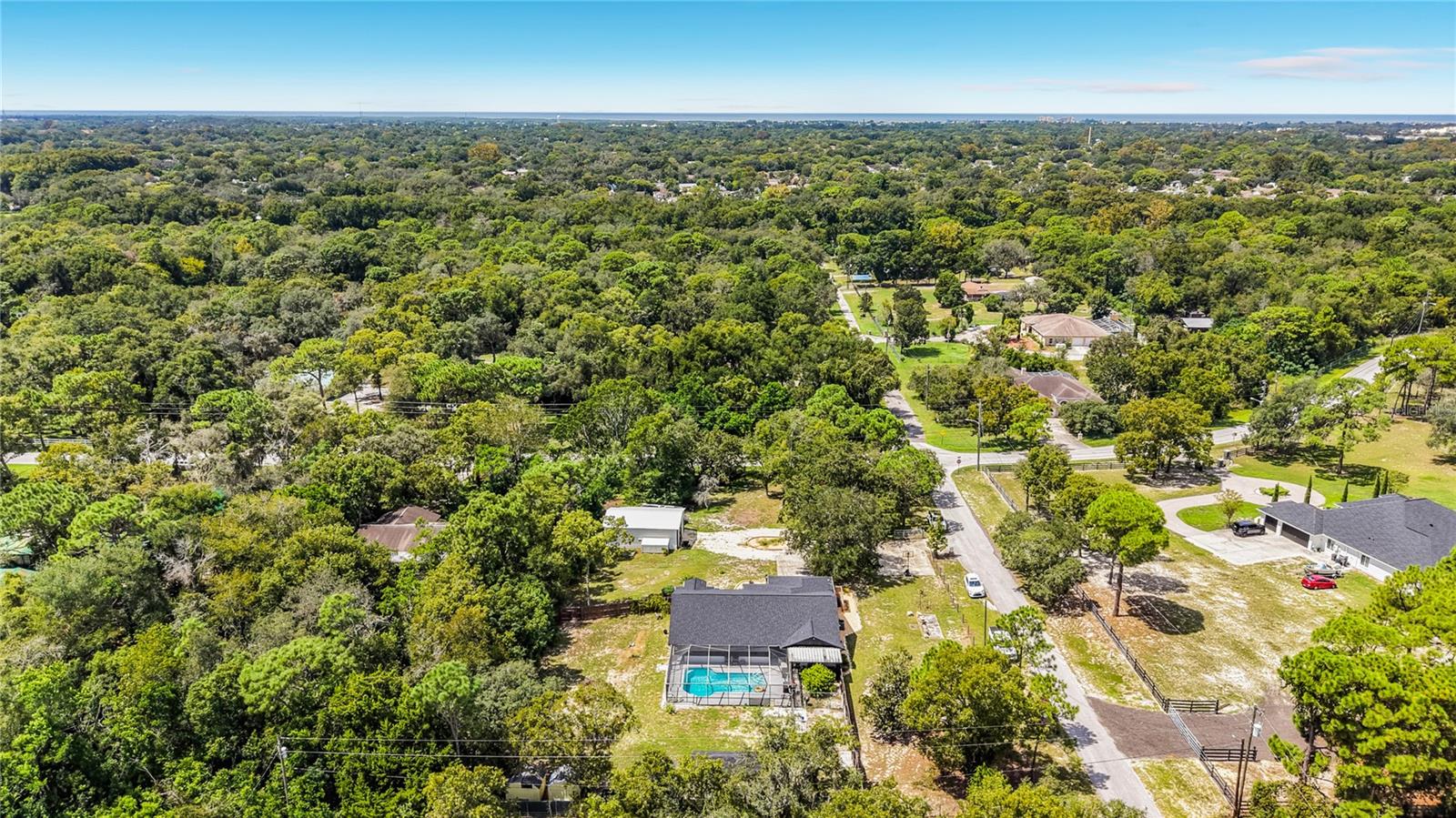 9238 TREE TOP LN — photo 75