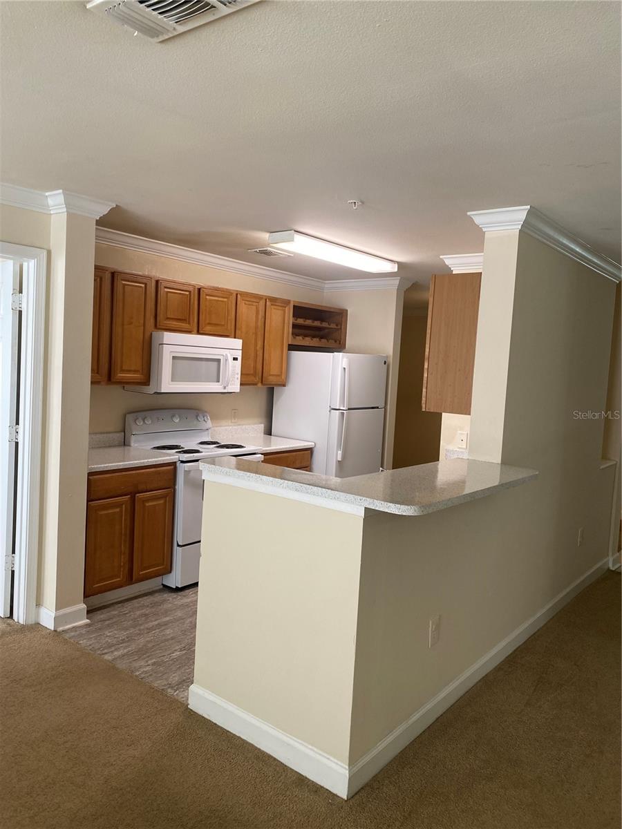 18123 STERLING GATE CIR #18123 — photo 56