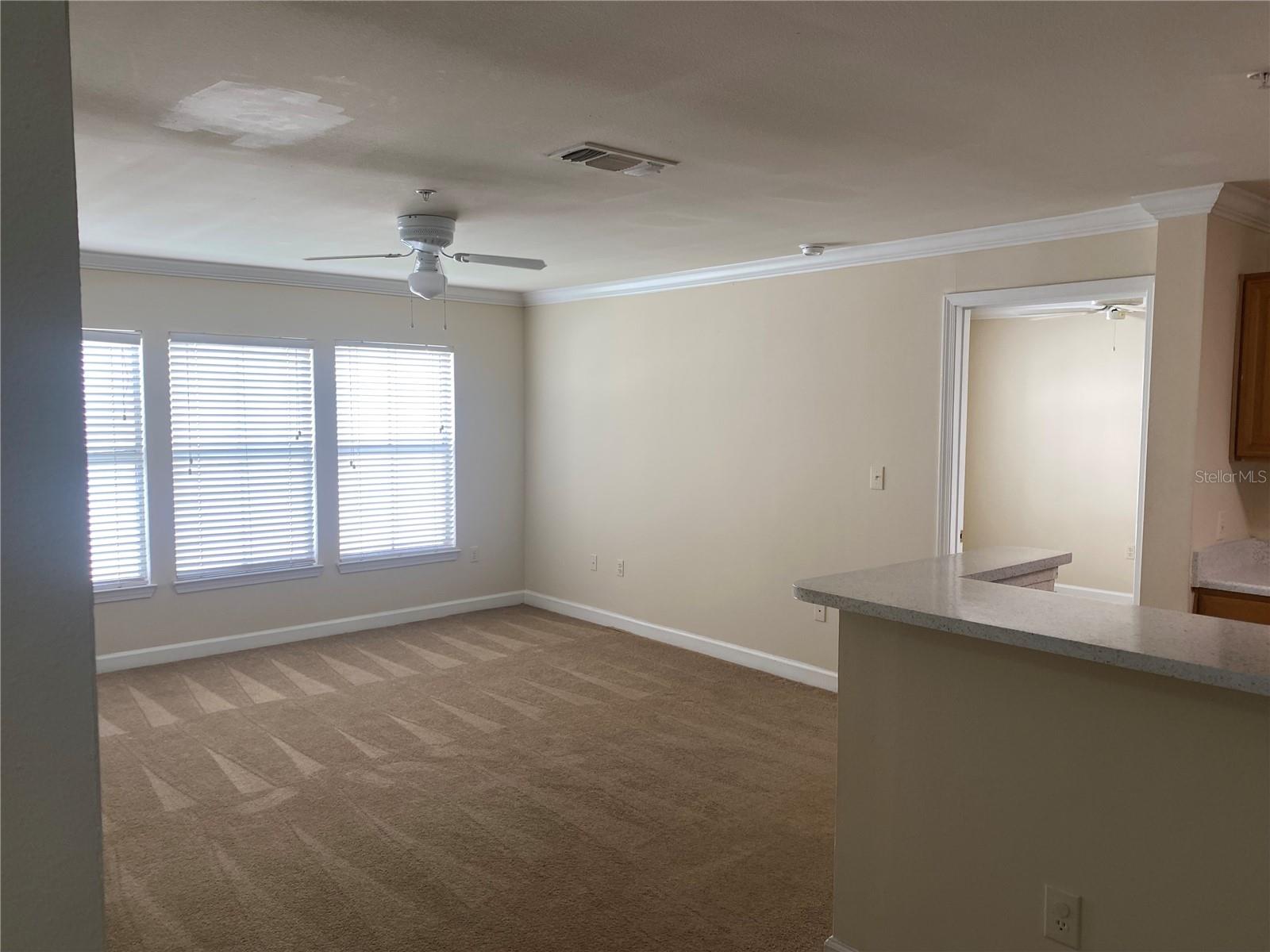 18123 STERLING GATE CIR #18123 — photo 52