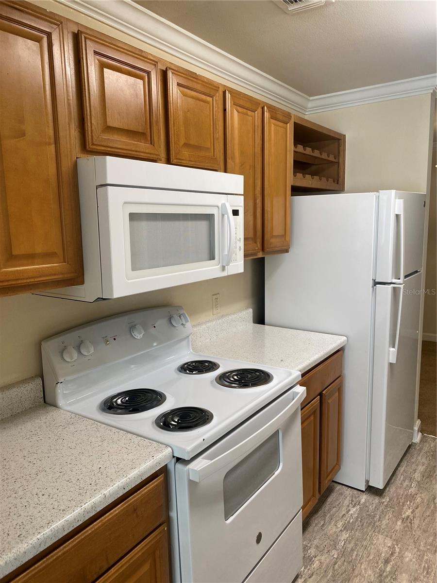 18123 STERLING GATE CIR #18123 — photo 62