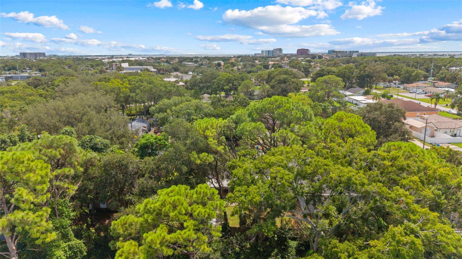 7327 WINCHESTER DR — photo 42