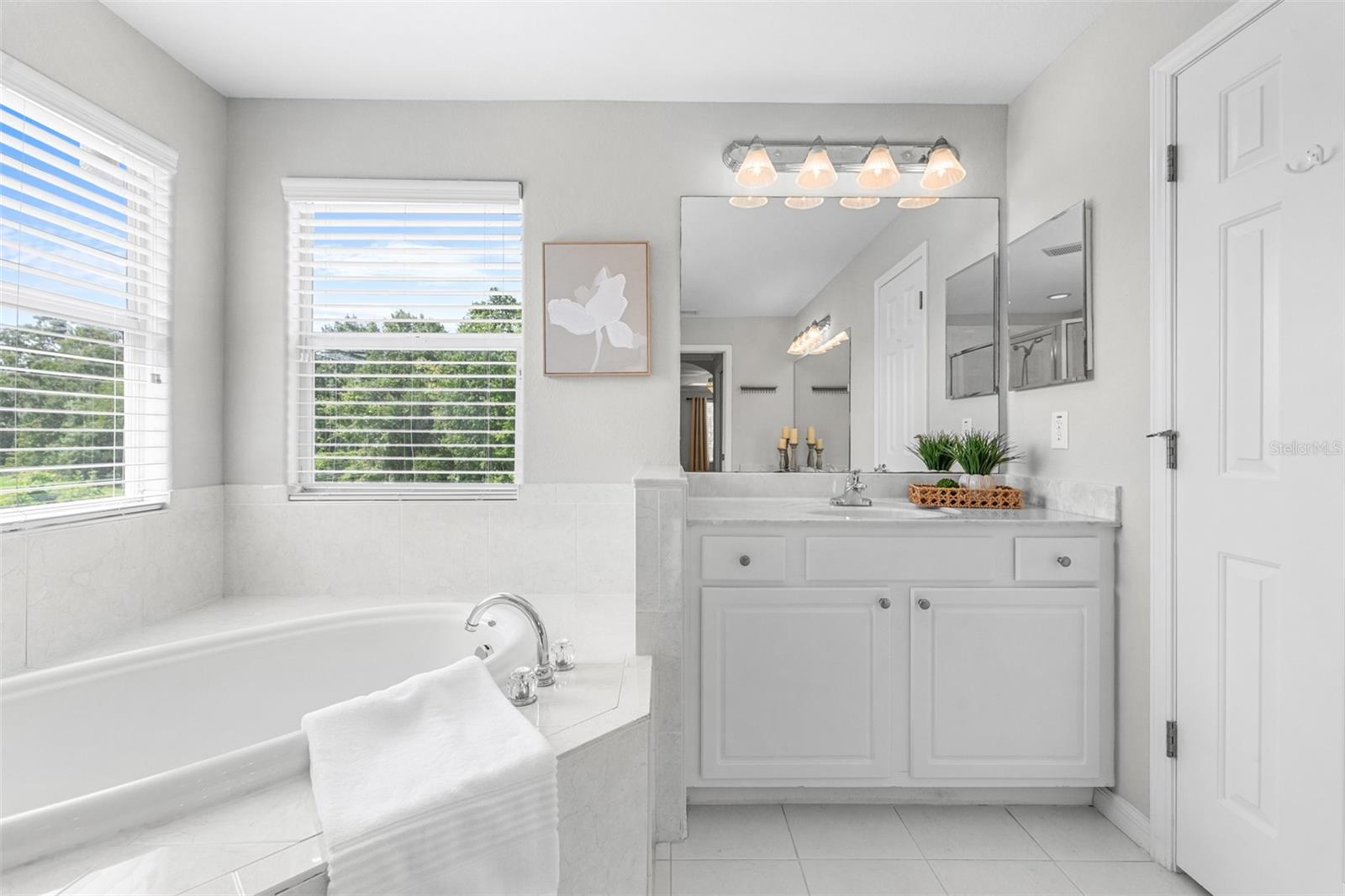 27015 FIREBUSH DR — photo 26