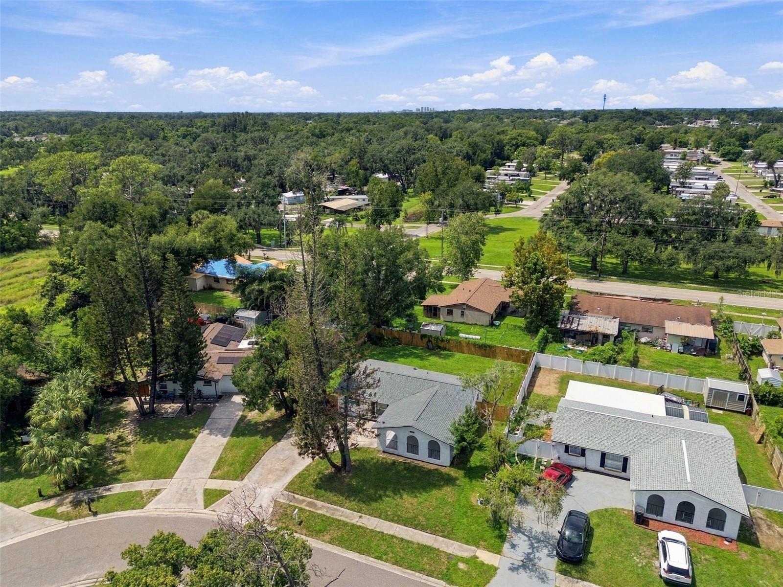 802 WALNUT DR — photo 51