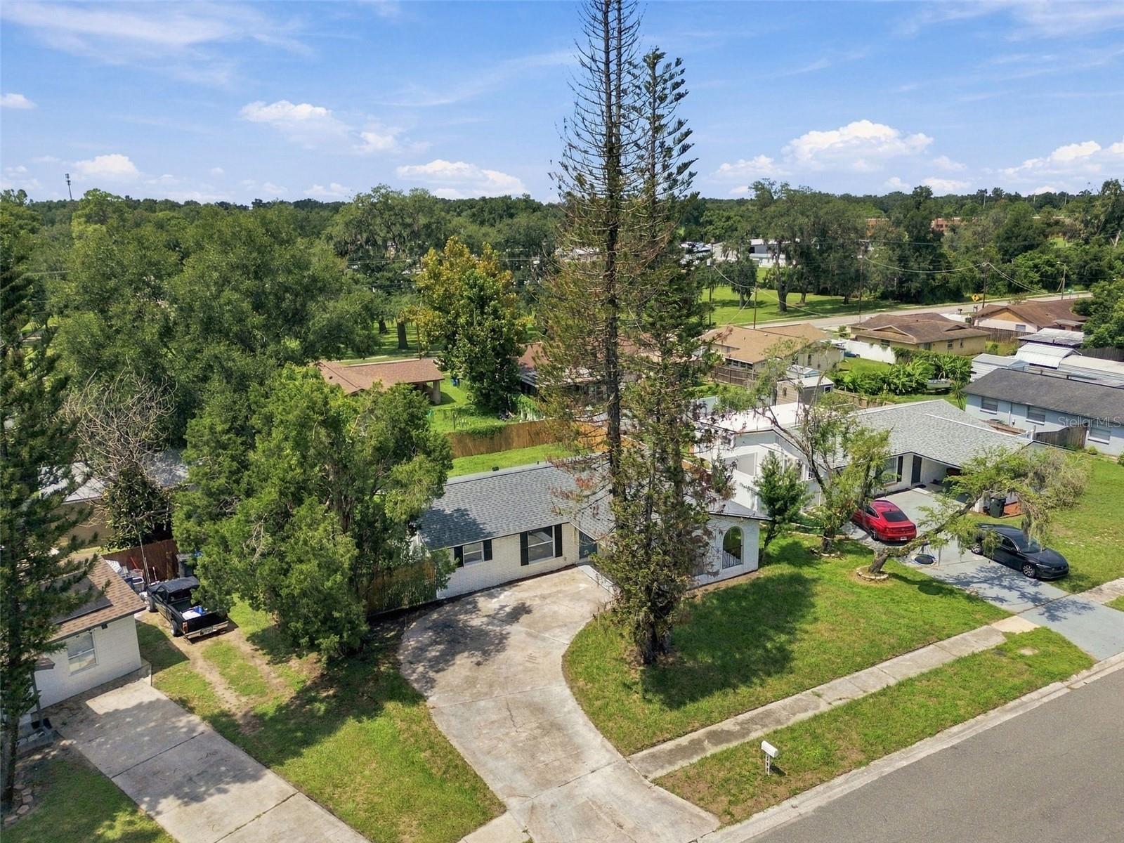 802 WALNUT DR — photo 43