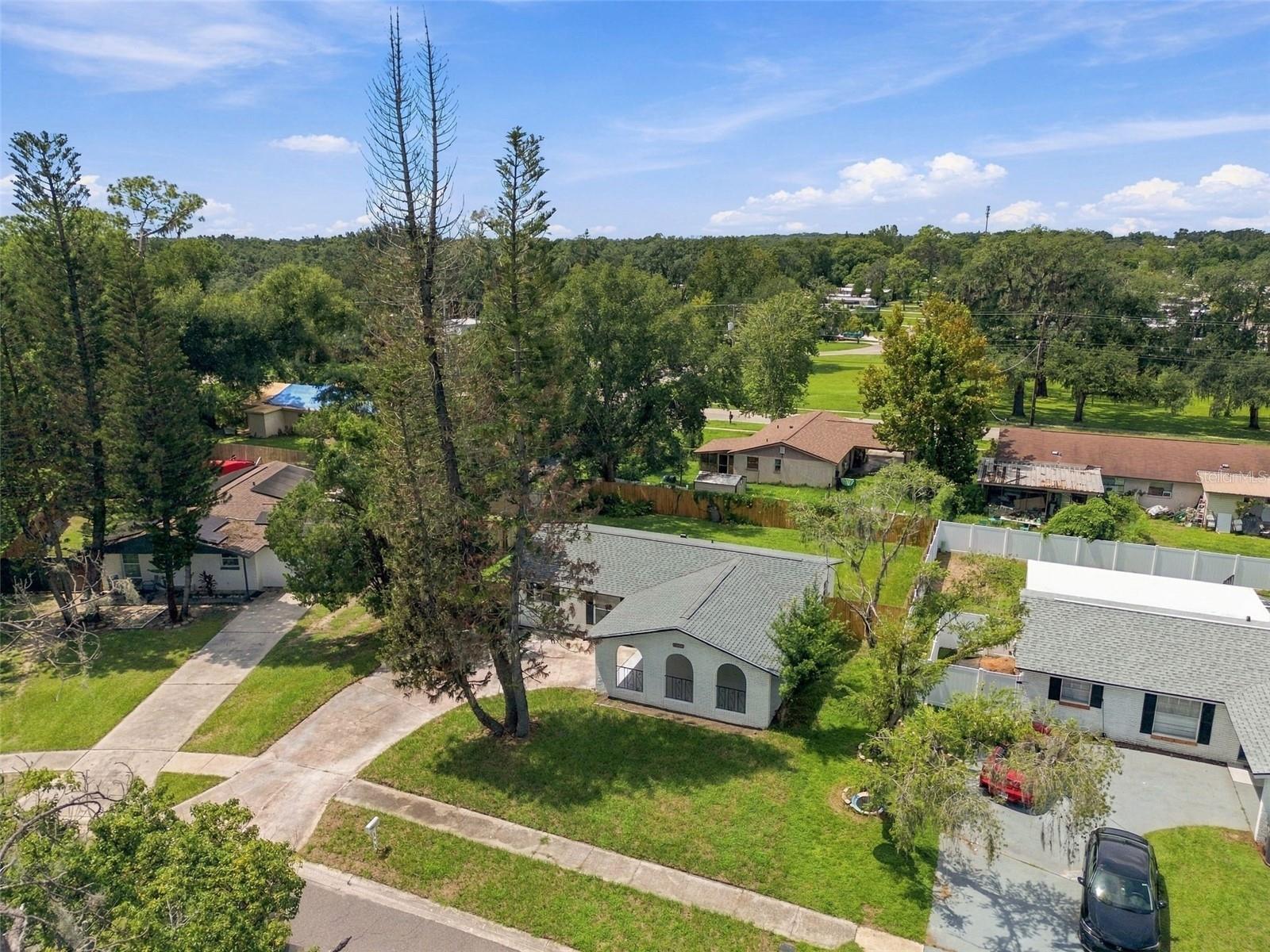 802 WALNUT DR — photo 45