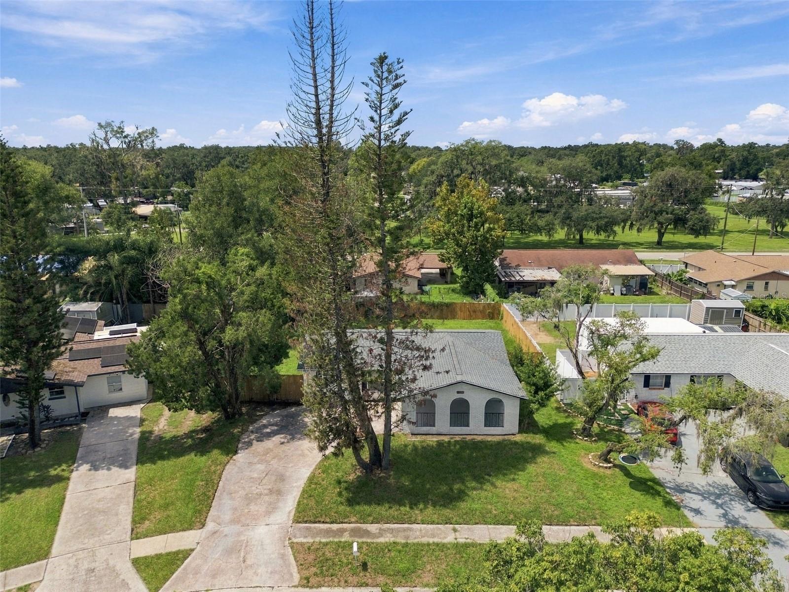 802 WALNUT DR — photo 44