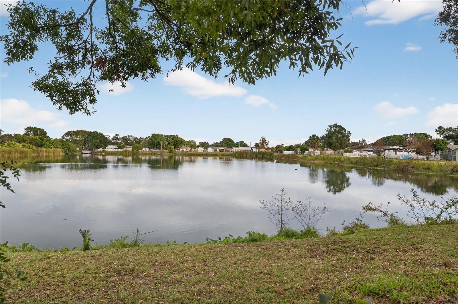6107 COLE DR — photo 41