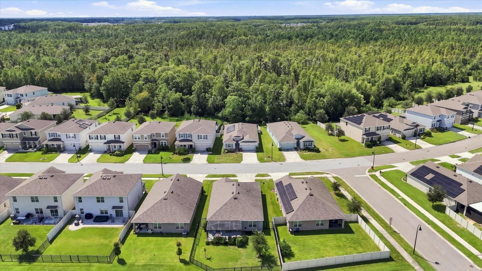 2861 STORYBROOK PRESERVE DR — photo 42