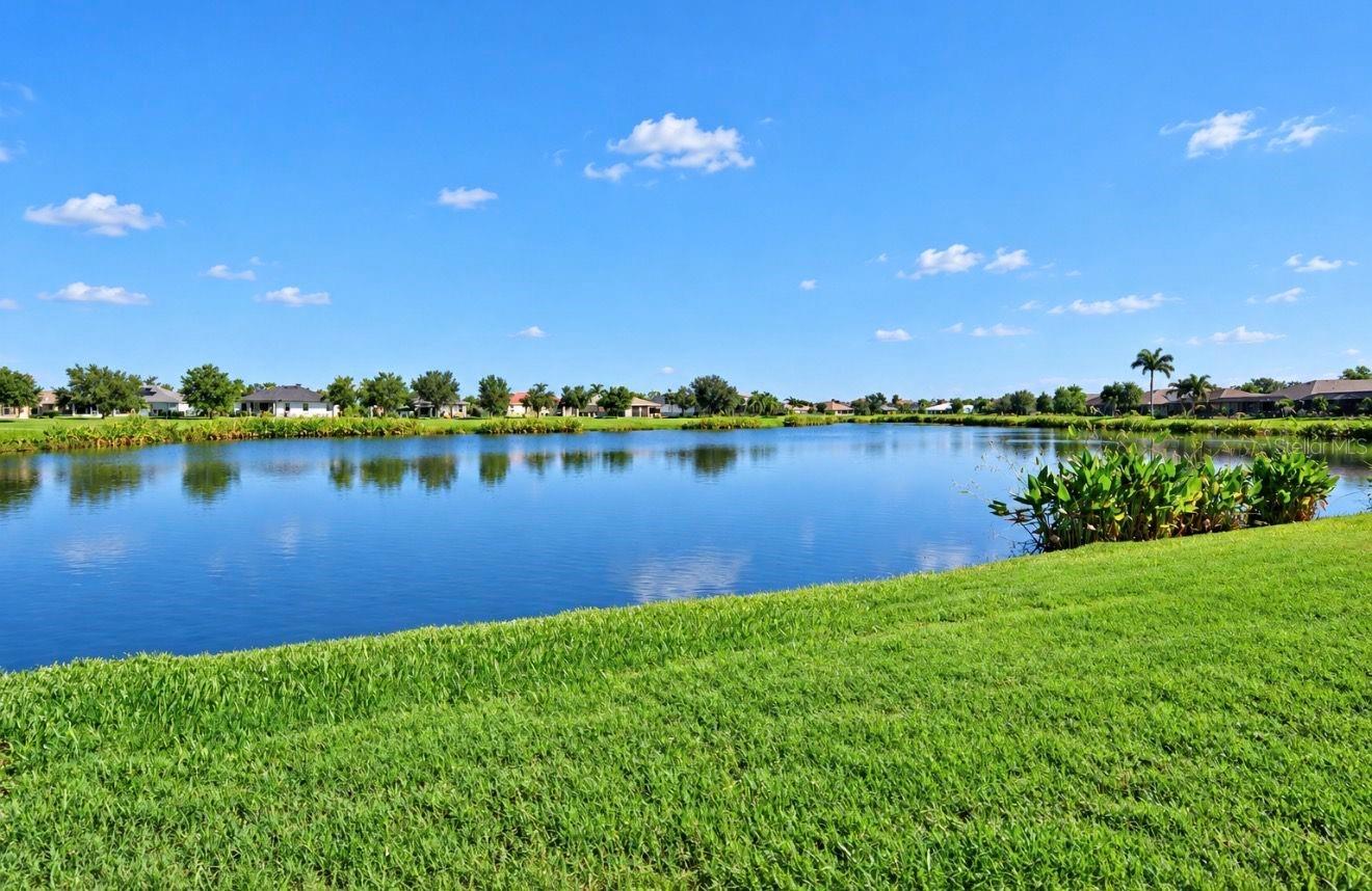 337 STAR SHELL DR — photo 35