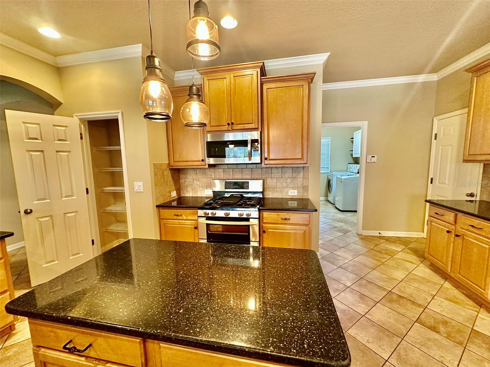 12348 SILTON PEACE DR — photo 23