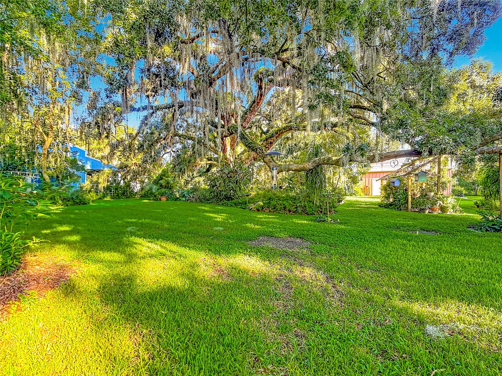 2320 BOGAERT RD — photo 52