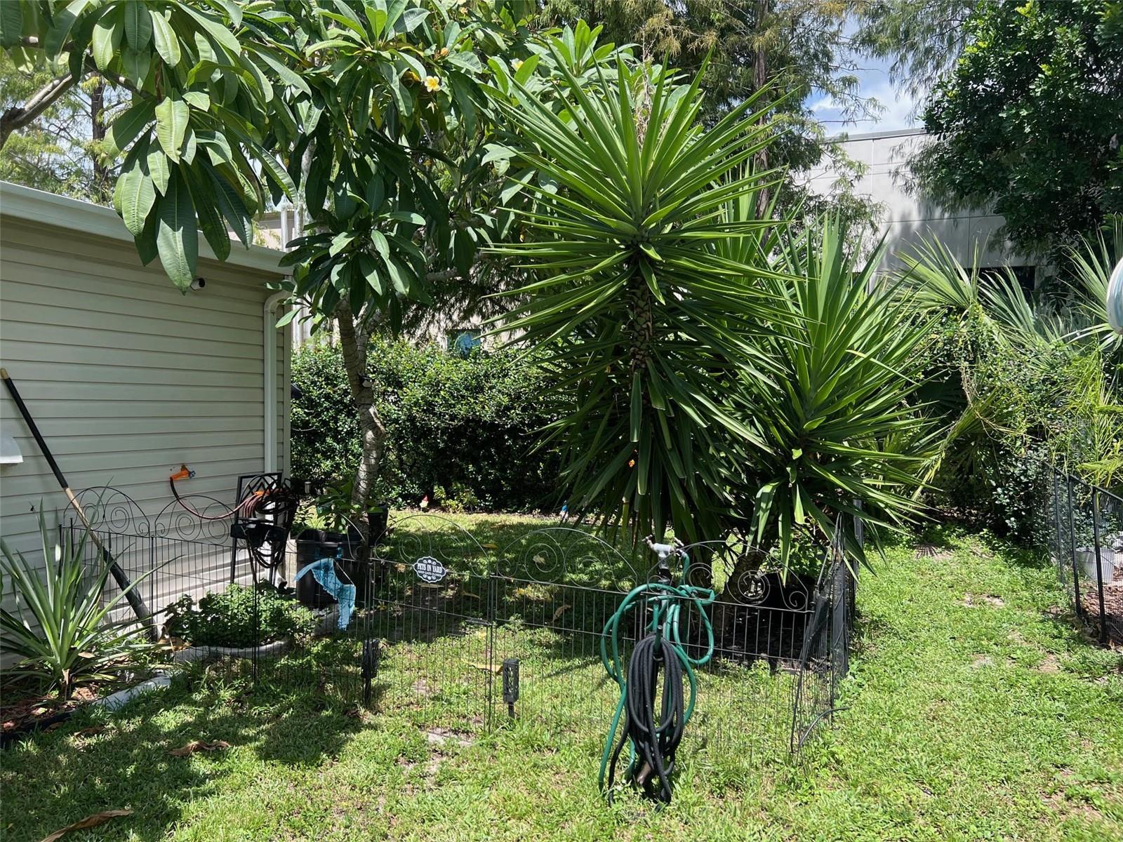 63 ROYAL PALM CIR — photo 4