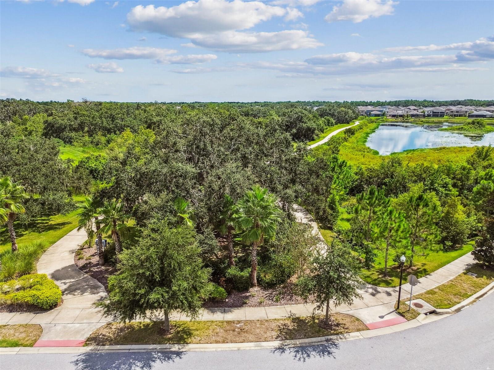 12903 WILDFLOWER MEADOW DR — photo 55
