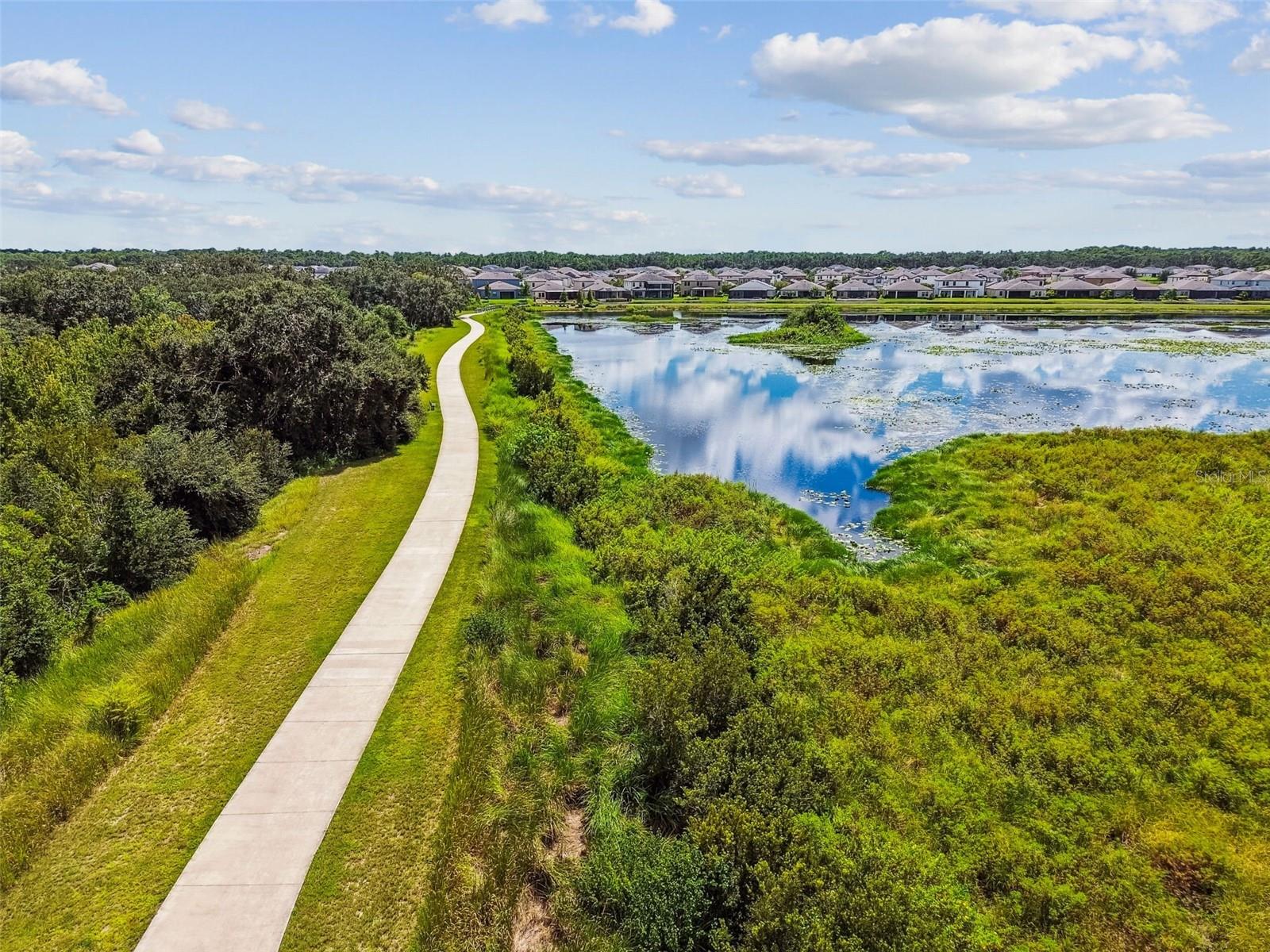 12903 WILDFLOWER MEADOW DR — photo 57