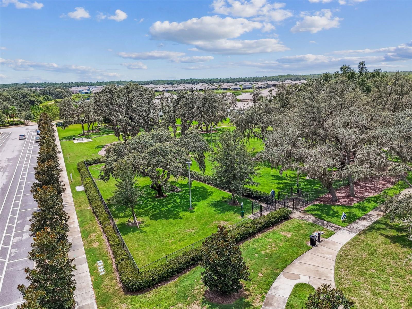 12903 WILDFLOWER MEADOW DR — photo 64