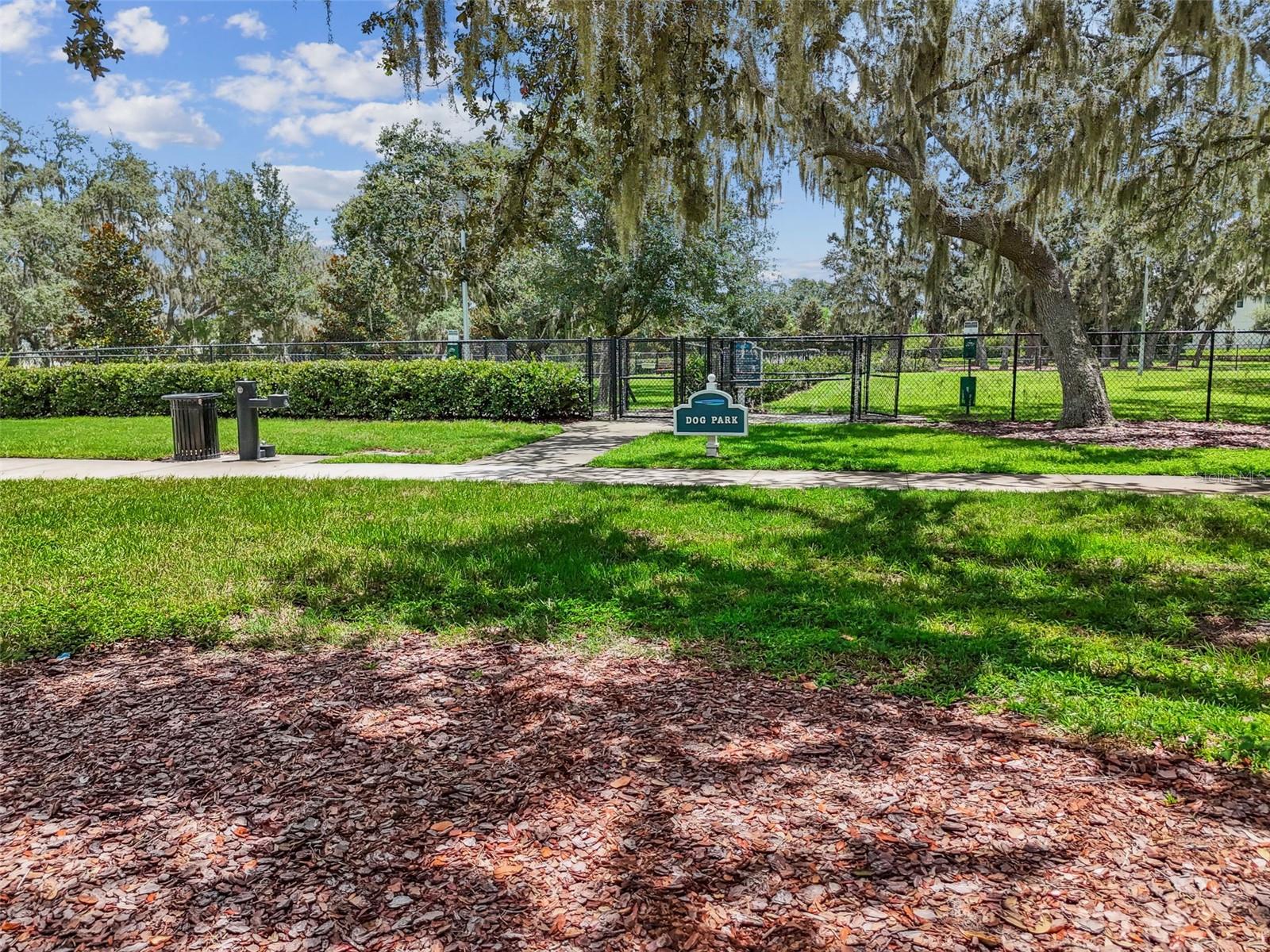12903 WILDFLOWER MEADOW DR — photo 85