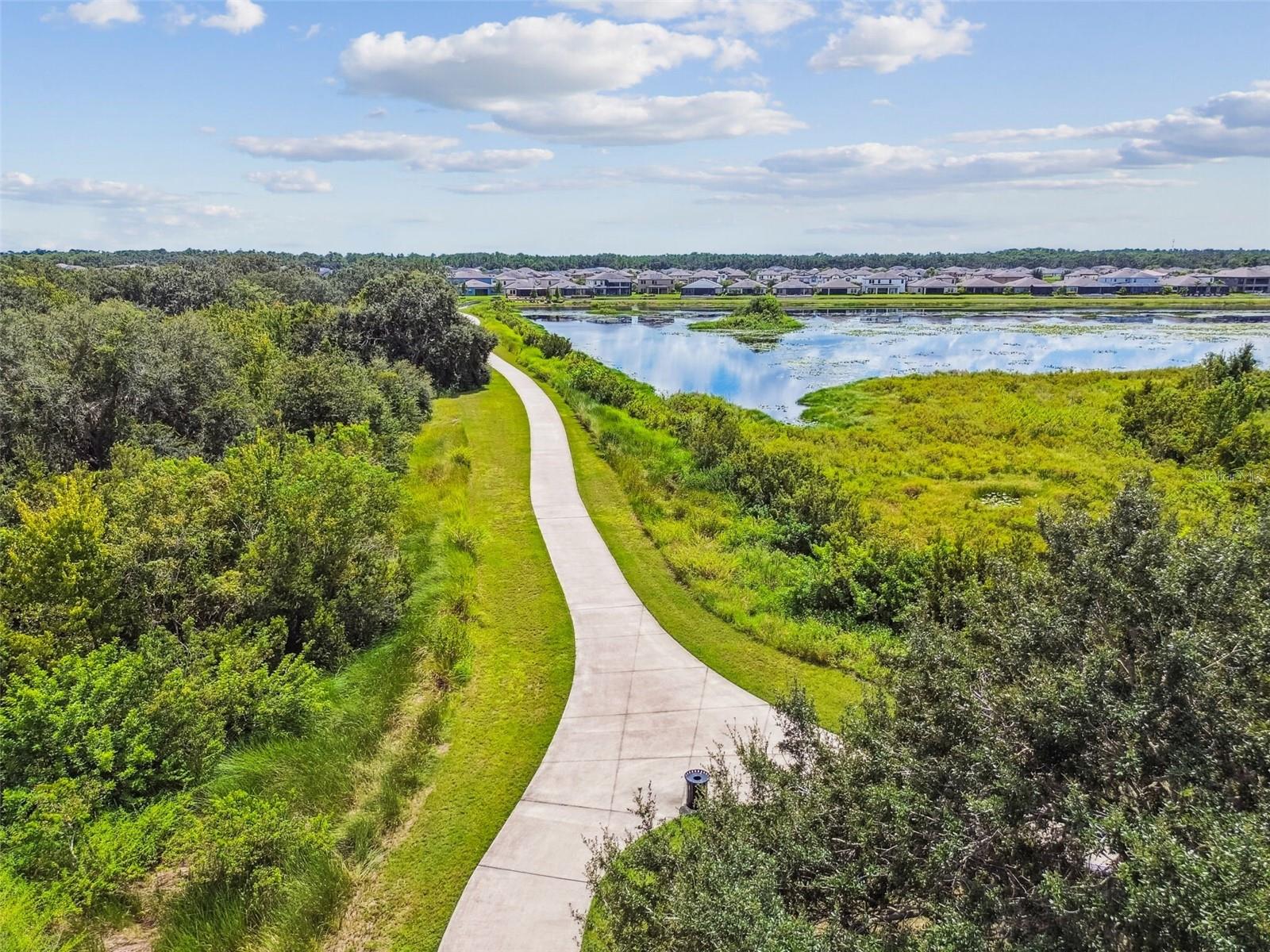 12903 WILDFLOWER MEADOW DR — photo 56