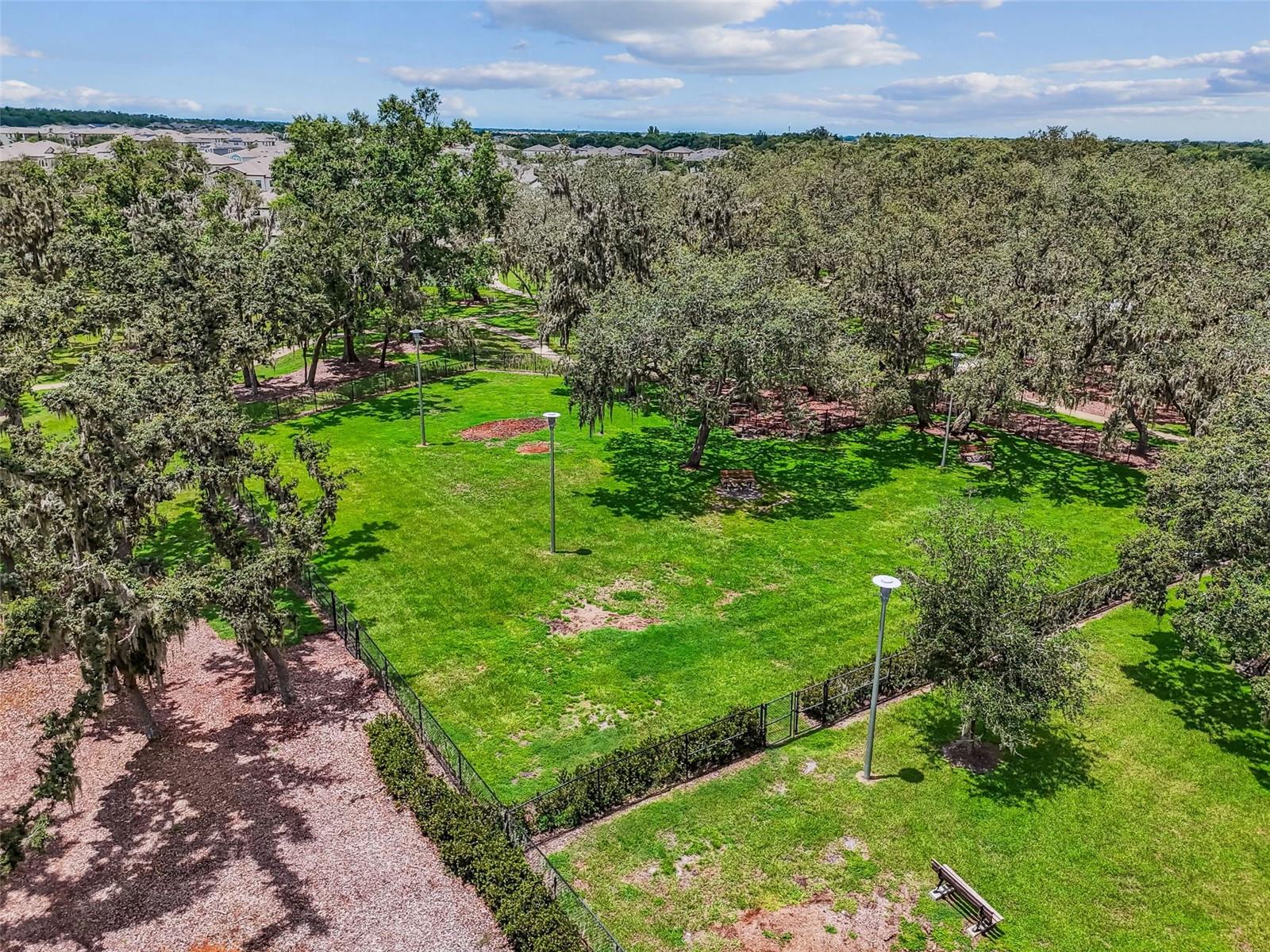 12903 WILDFLOWER MEADOW DR — photo 65