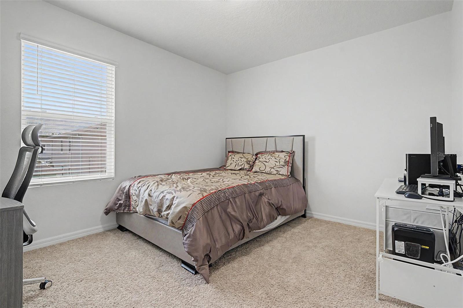 32664 DASHEL PALM LN — photo 7