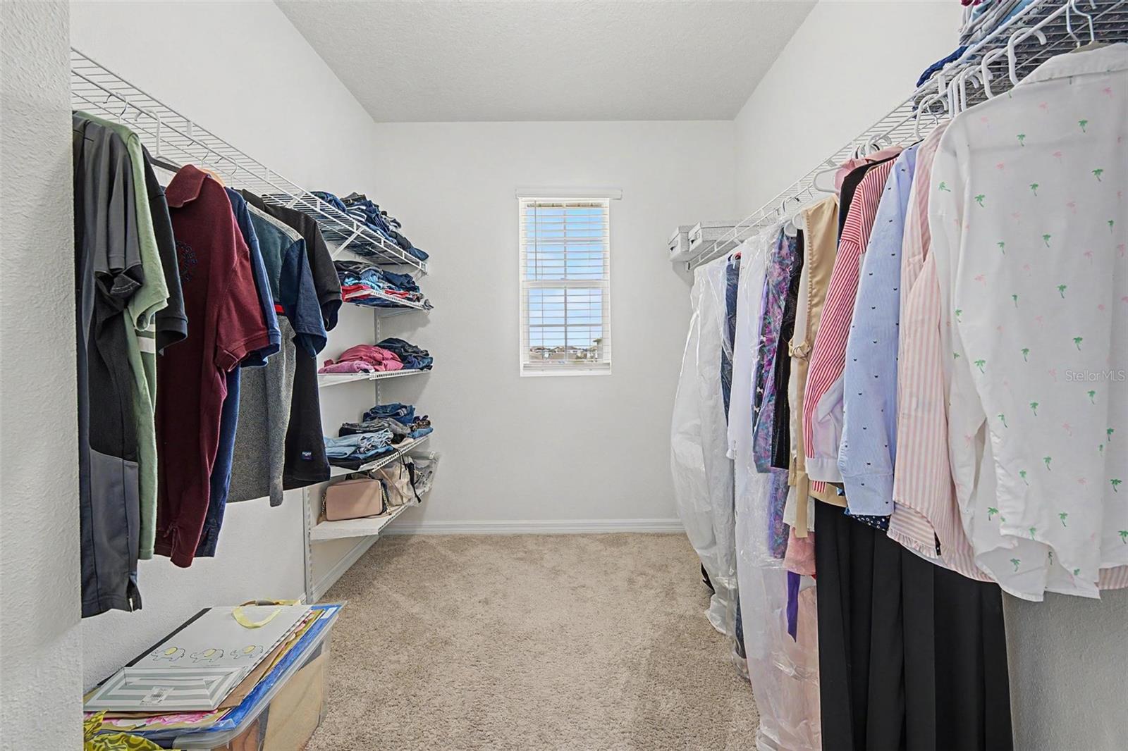 32664 DASHEL PALM LN — photo 18