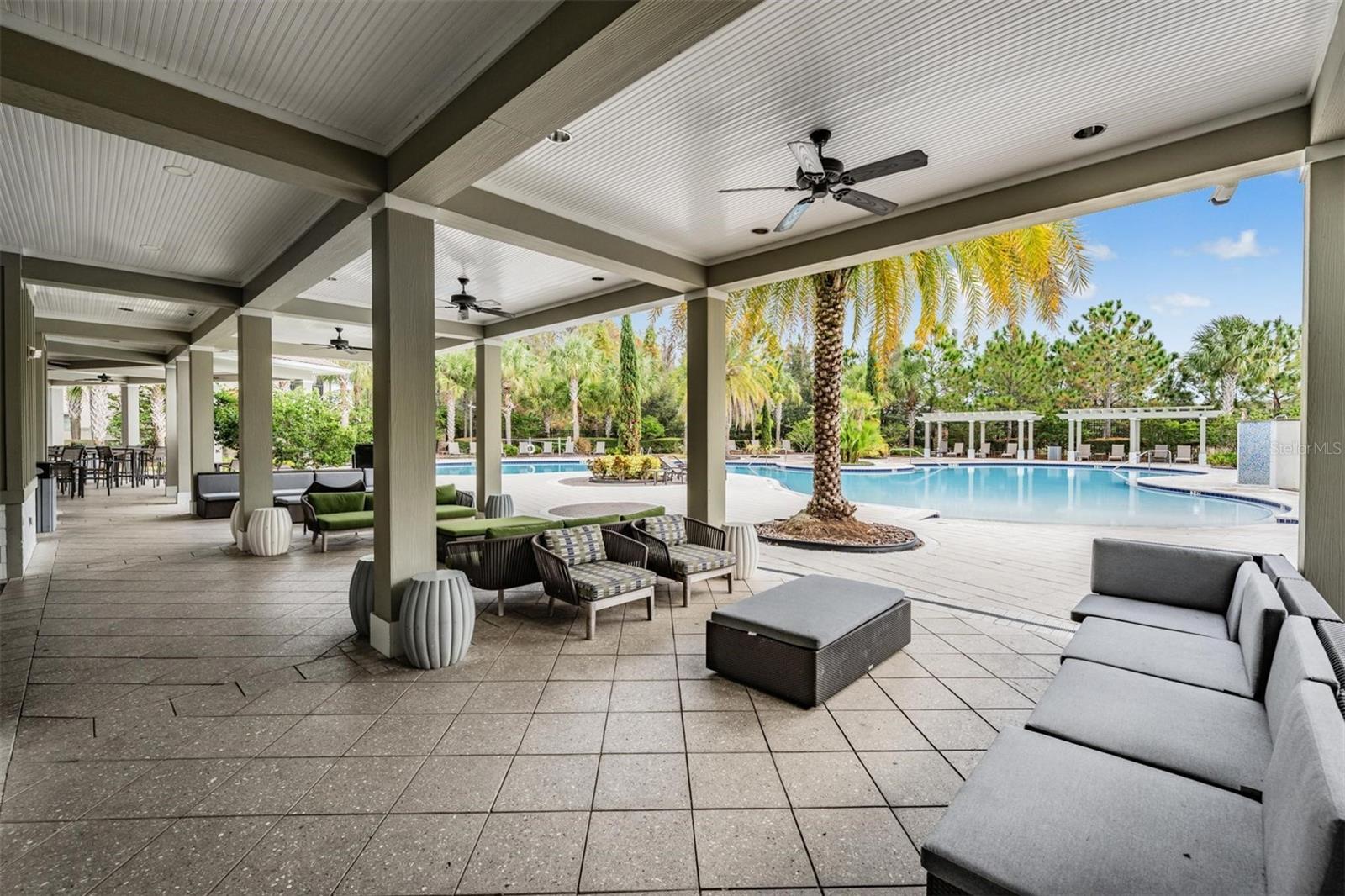 32664 DASHEL PALM LN — photo 29
