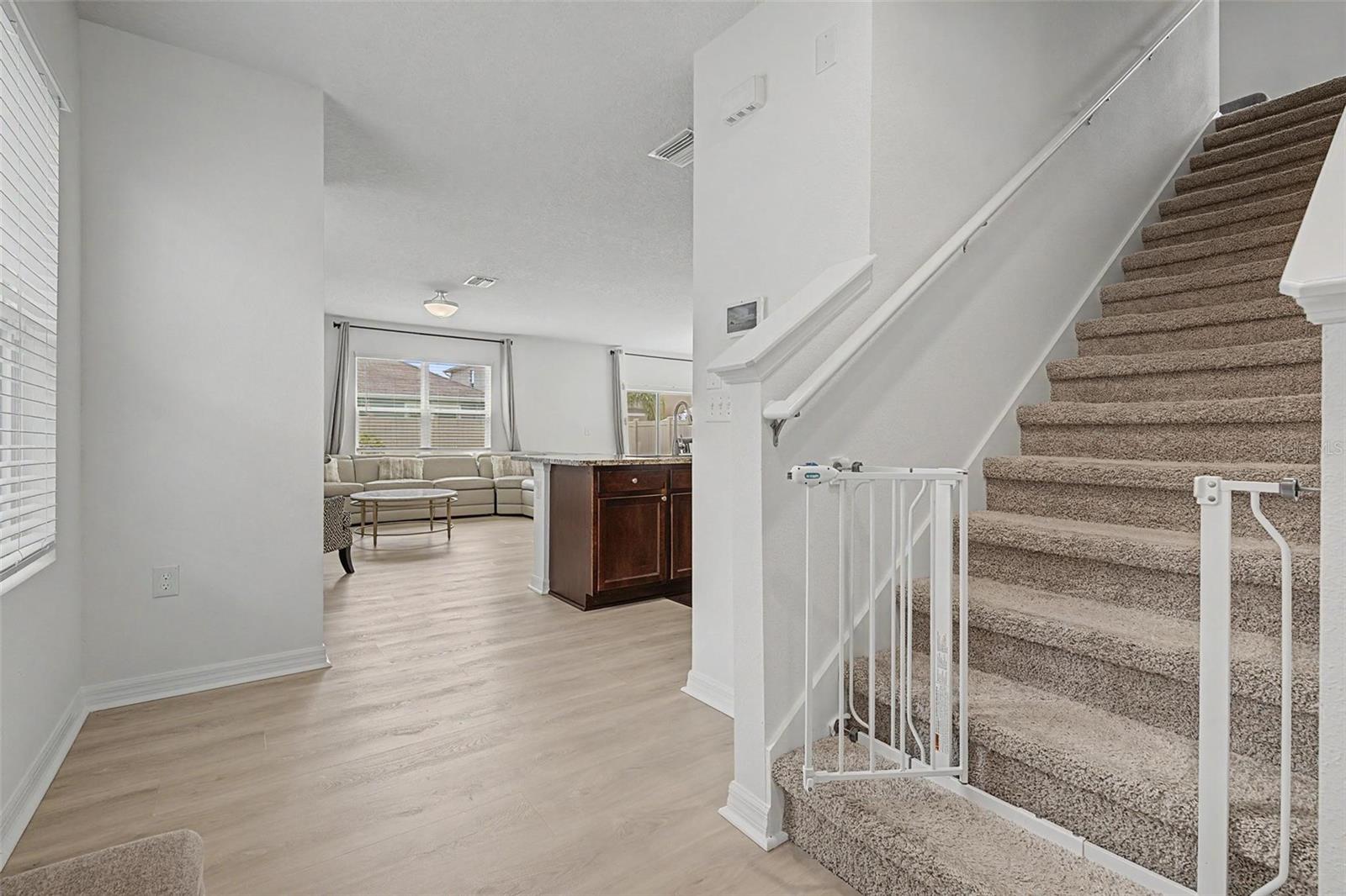 32664 DASHEL PALM LN — photo 16