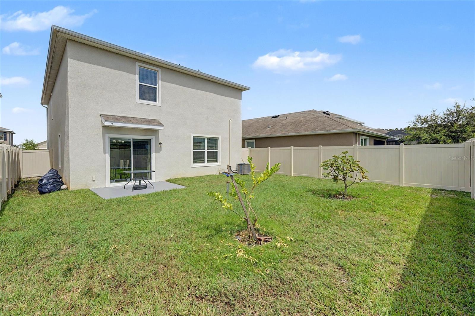 32664 DASHEL PALM LN — photo 5