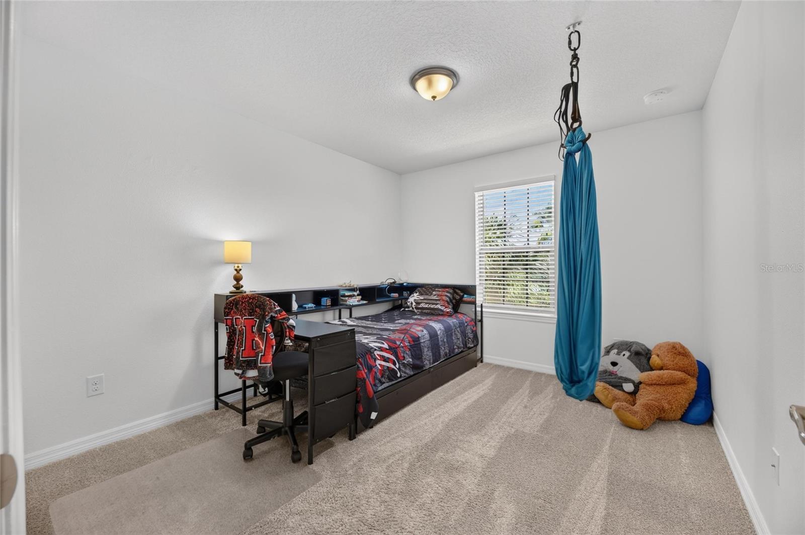 1521 CUSTER BAYOU ST — photo 58