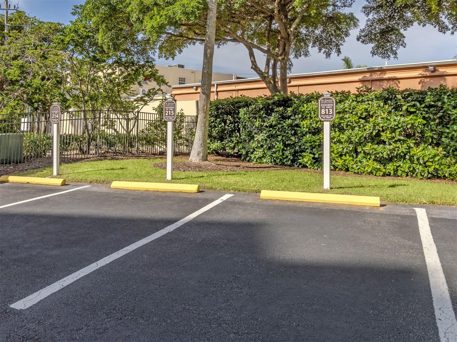 167 TAMPA AVE E #813 — photo 43
