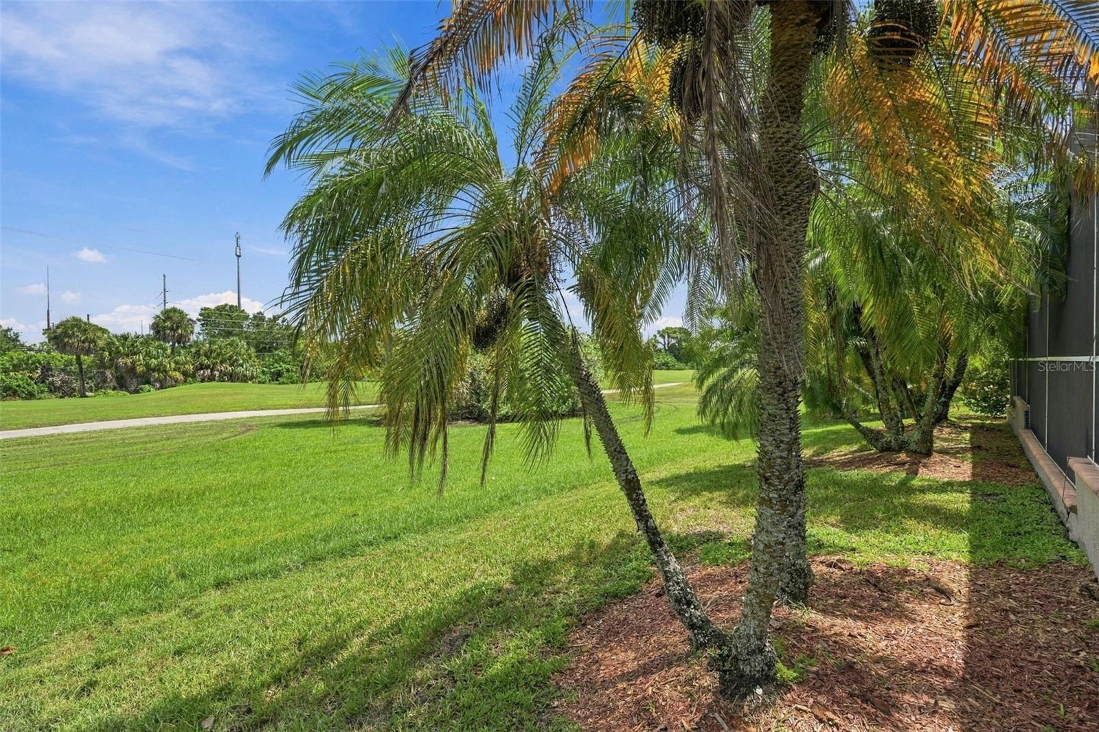 9871 SAGO POINT DR — photo 33