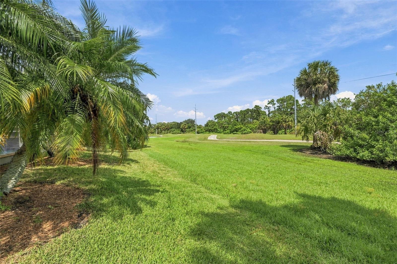 9871 SAGO POINT DR — photo 35