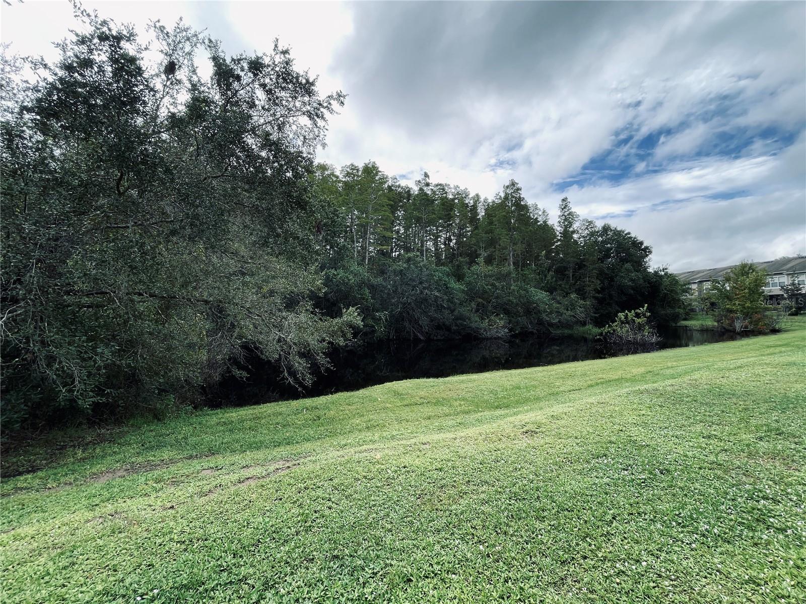 10453 WESTPARK PRESERVE BLVD — photo 37