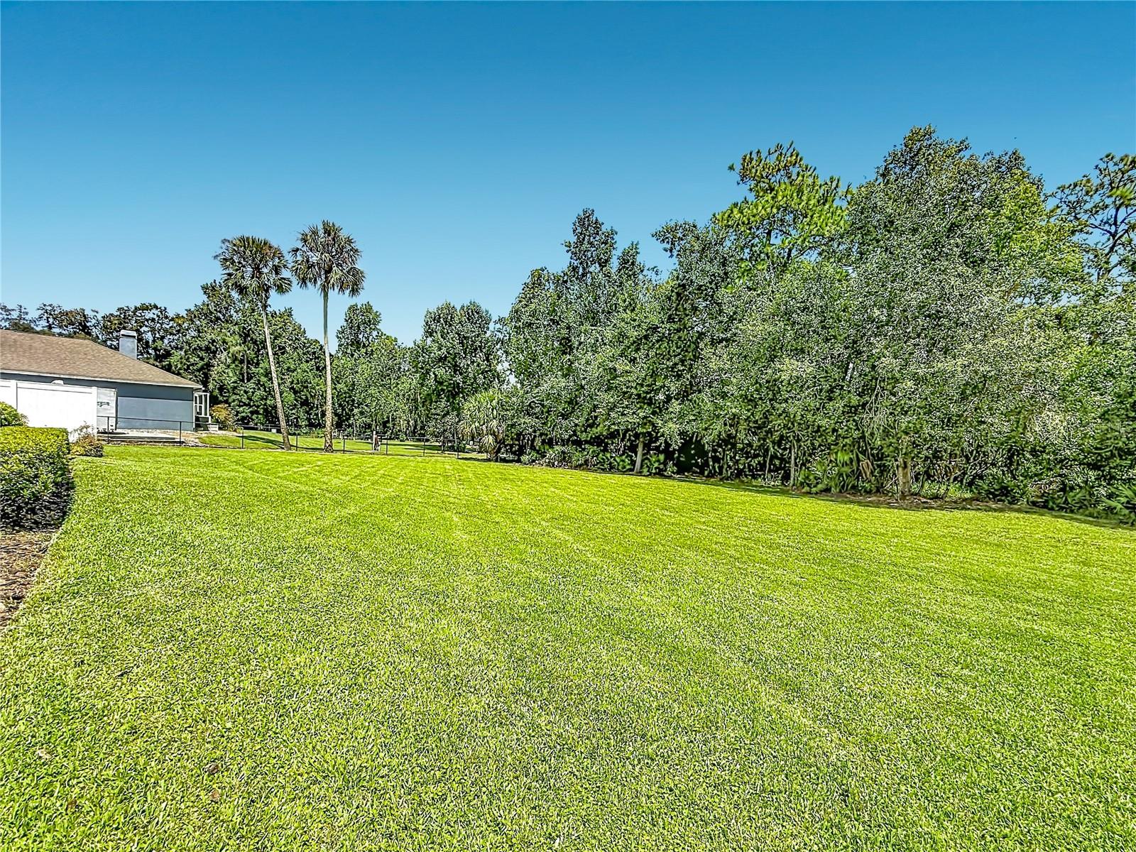 18815 CARR DR — photo 49