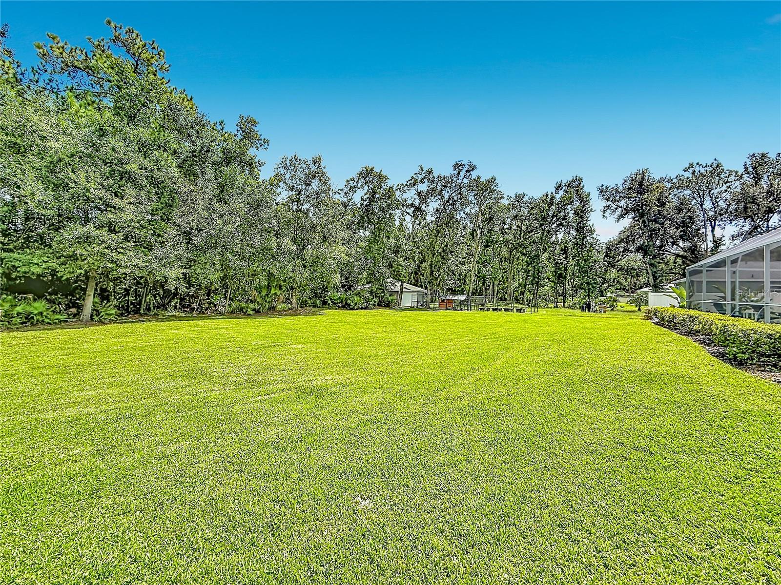 18815 CARR DR — photo 51