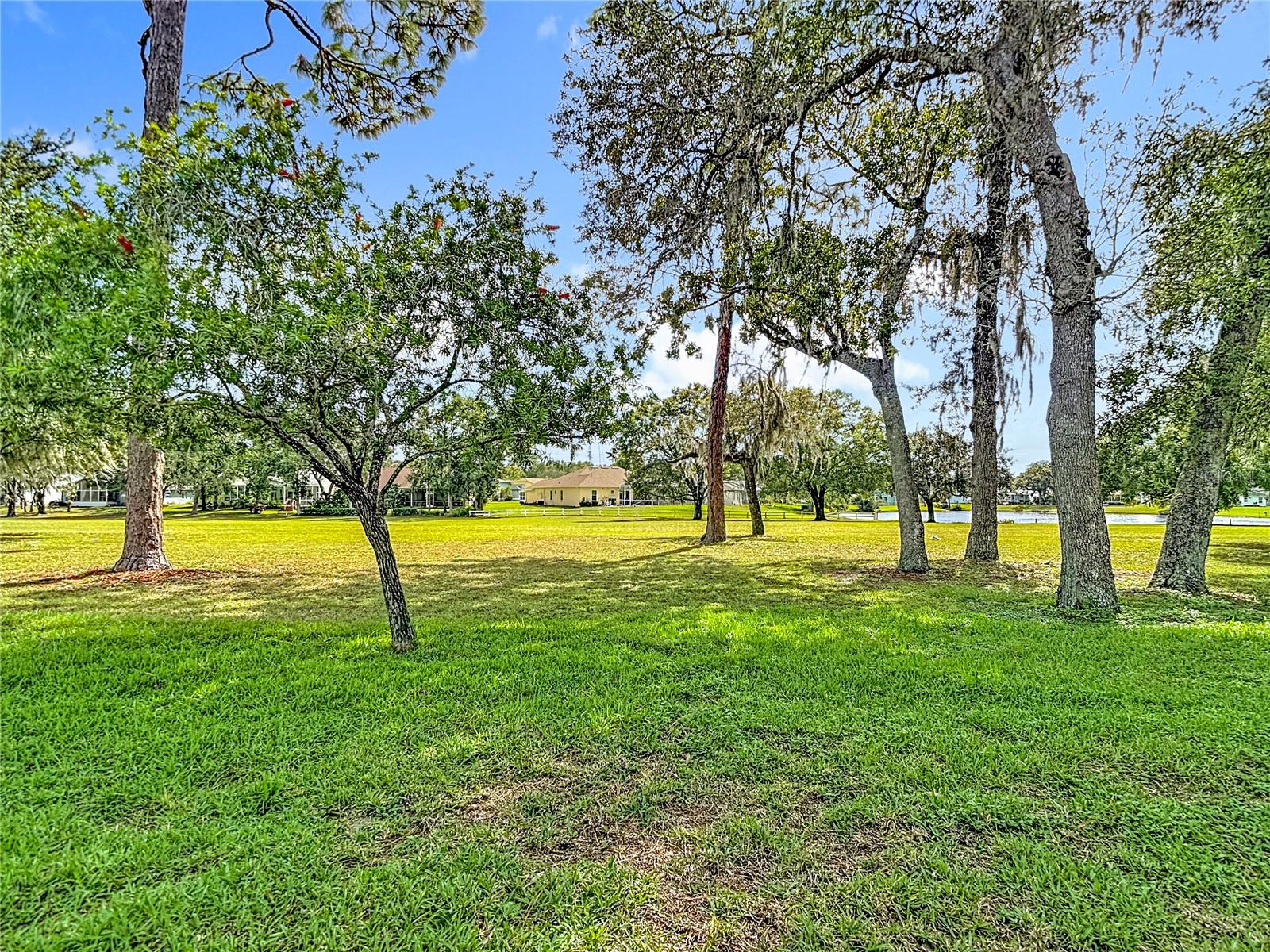 13510 KNOTTY LN — photo 55