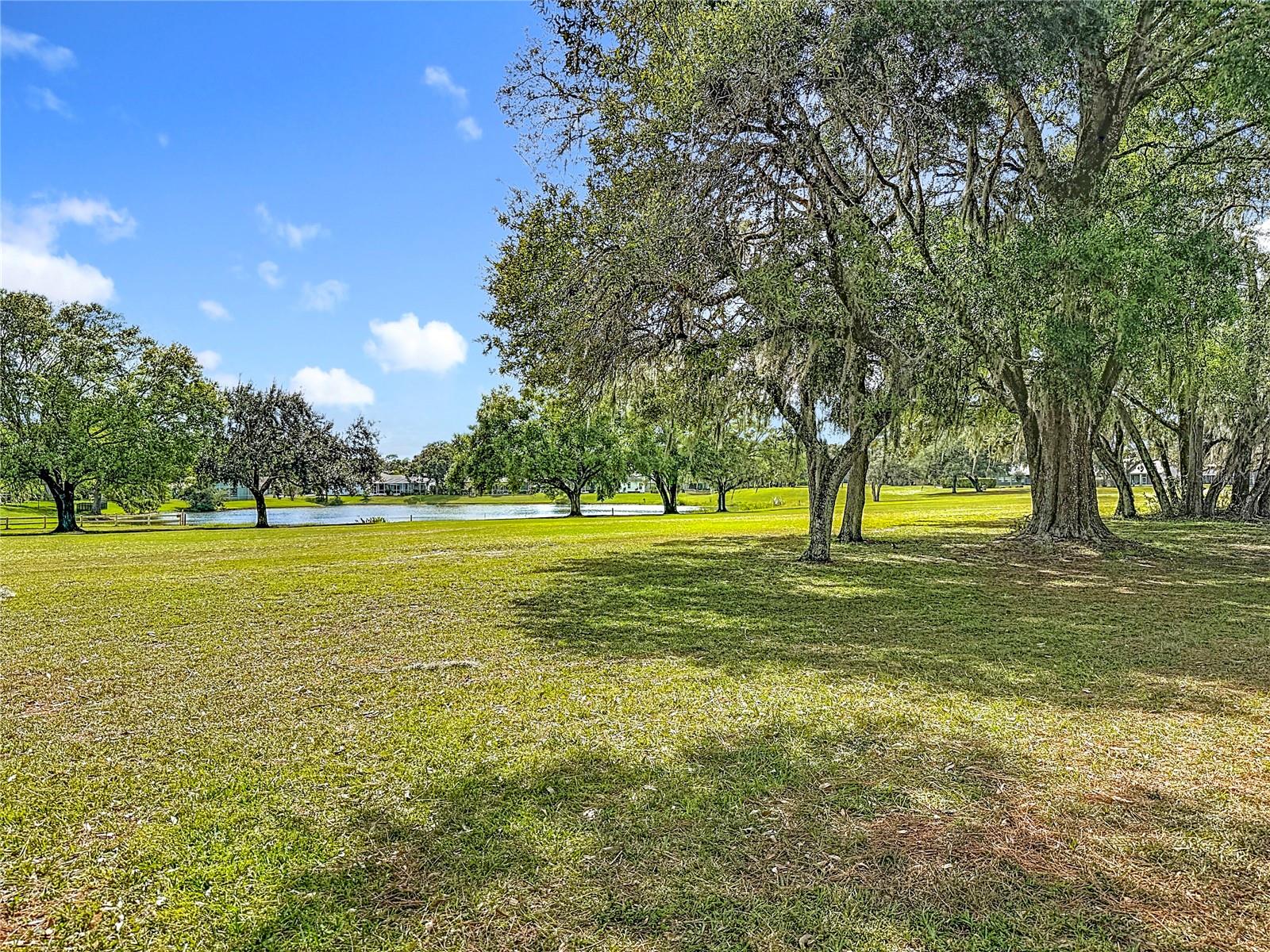13510 KNOTTY LN — photo 61