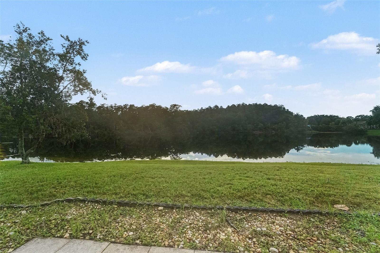 13522 WHITE ELK LOOP — photo 29