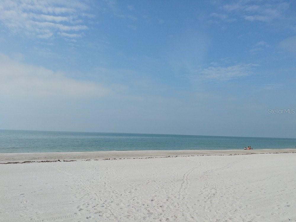 13101 GULF BLVD #1605 — photo 43