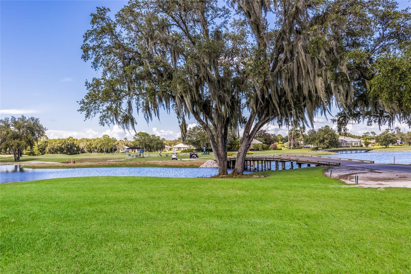 4621 ROYAL DORNOCH CIR — photo 50