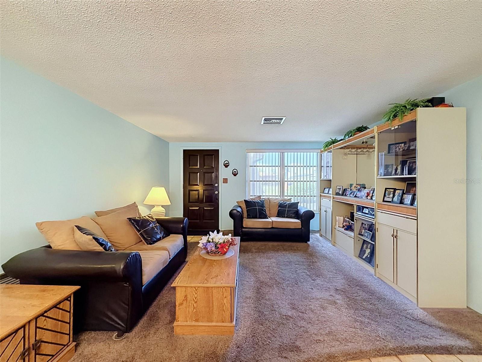 9916 LAKE CHRISE LN — photo 6